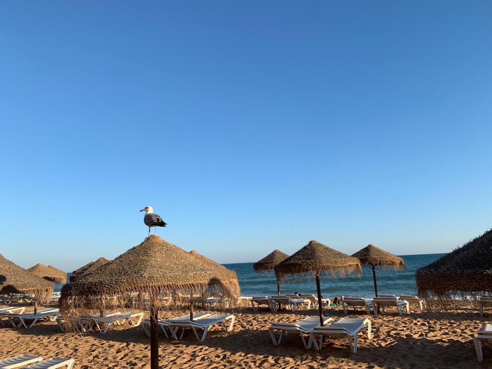 Olimar Sea View Apartment Albufeira Kültér fotó